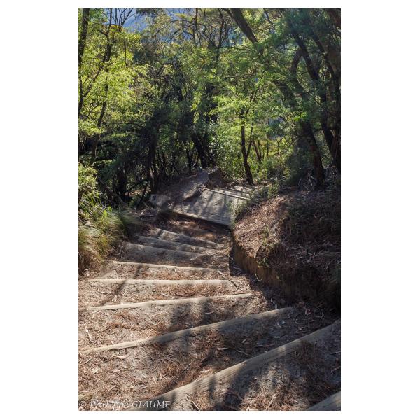 PHOTO84, CLUB, 84 , LUBERON